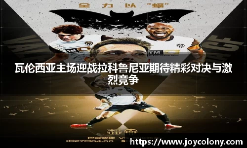 vsports体育在线官网