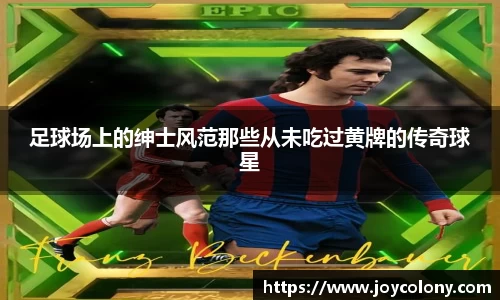 Vsports胜利因您更精彩